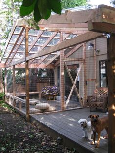 two dogs standing on a deck in front of a small house with a chicken coop