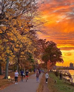 people walking down a path near the water with trees lining both sides and sunset in the background