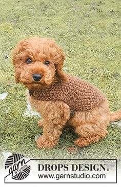 Best Day Ever Coat / DROPS 245-33 - Free knitting pattern