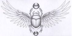 a drawing of an insect with wings and two balls on it's back side