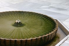 a large circular fountain in the middle of a courtyard