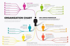 the organization chart is shown in this graphic