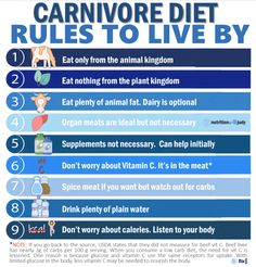 The Carnivore Diet | Nutrition with Judy | Holistic & Functional Wellness Caveman Diet Food List, Carnivore Ideas, Ketogenic Diet Meal Plan