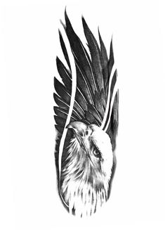 a black and white drawing of a bird with feathers on it's back side