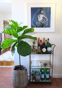 a living room filled with furniture and a plant