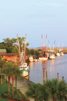 there are many boats that are docked in the water