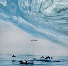 three dolphins swimming in the ocean with a quote on it's side that says i am magic