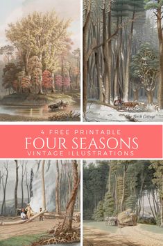 four different views of trees in the woods with text overlay that reads 4 free printable four season's vistas illustrations