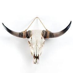 an animal's skull with long horns is hanging on a wall