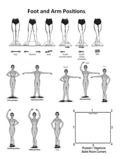 an image of different poses for the body