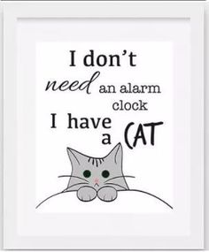 a white framed print with a cat saying i don't need an alarm clock