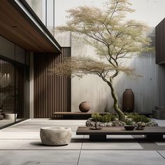 a bonsai tree sits in the middle of a courtyard area with benches and tables