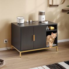 an orange cat standing in a cabinet on the floor next to a rug and wall