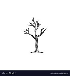 a tree without leaves on a white background