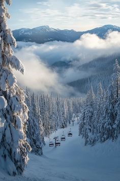 snow covered trees and ski lift in the distance with clouds rolling over them on a sunny day