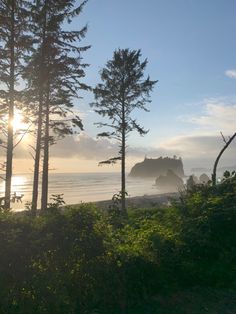 the sun shines through some trees near the ocean