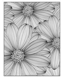 black and white flowers are shown in this coloring book page for adults to color with