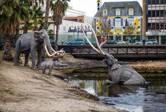 an adult elephant standing next to a baby elephant in a body of water with palm trees