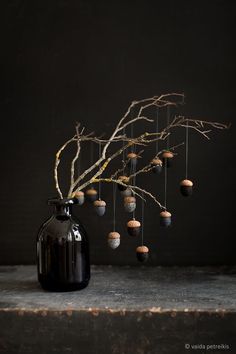 a black vase sitting on top of a table next to a branch with nuts hanging from it