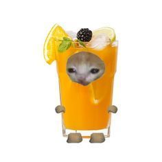 an animal sticking its head out of a glass filled with orange juice and lemons