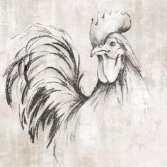 a black and white drawing of a rooster