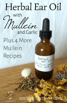 Herbal Ear Oil with Mullein and Garlic. This easy home herbal project is a must-have when you have little children. It's a safe and effective ear infection remedy! Herbal Oil Recipes, Mullein Flower, Ear Oil, Herbs For Sleep, Tinctures Recipes, Herbal Medicine Recipes, Herbal Remedies Recipes, Ear Infections, Essential Oils Herbs