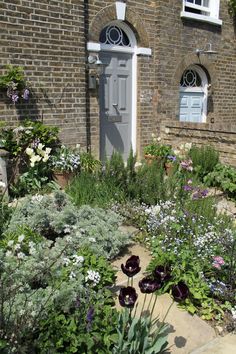 a garden with purple and white flowers in front of a brick building