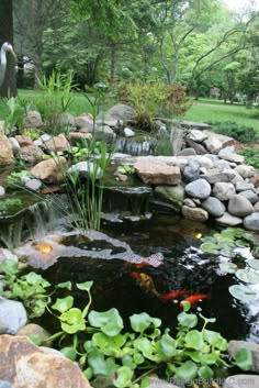 a pond with rocks and water lilies in it