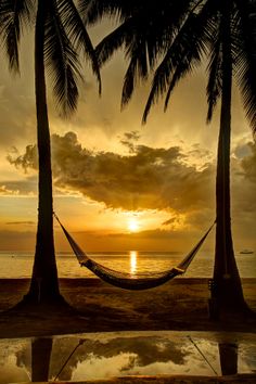 a hammock hanging between two palm trees on the beach at sunset or sunrise