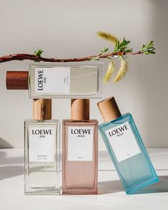 three bottles of cologne sitting next to each other on a white counter top with a branch in the background