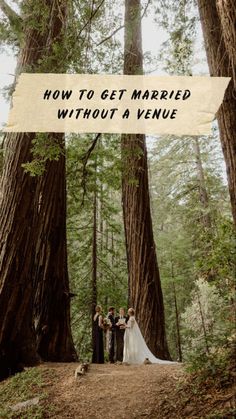 a bride and groom standing in front of trees with the words how to get married without a venue