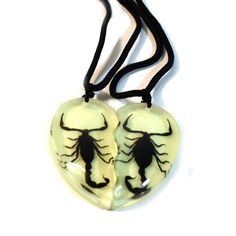 PRICES MAY VARY. RESIN Imported 2 real scorpions necklaces 2 pieces combined makes heart shaped Glow In The Dark Length of cord: adjustable from 15 in to 28 in Monster Energy Heart Necklace, Heart Can Necklace, Cheap Red Enamel Pin, Soda Heart Necklace, Heart Rib Cage Necklace, Matching Heart Jewelry, Ranboo My Beloved Heart Locket, Can Cap Heart Necklace, Best Buds Necklace