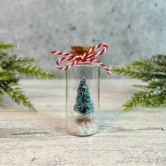 a small christmas tree in a glass jar with candy canes on the side and evergreen branches behind it