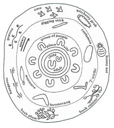 an image of a diagram that shows the different parts of a plant's life cycle