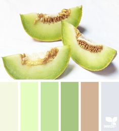 the color scheme is green and brown, with two slices cut in half to show what it looks like