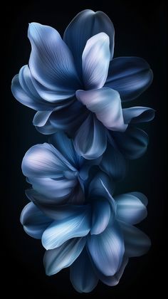 blue flowers on a black background with the petals still attached to the back of the phone