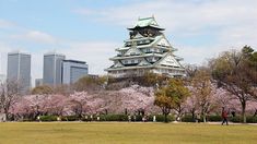 a tall building with a tower in the middle of it surrounded by cherry blossom trees