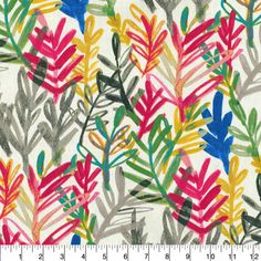 an image of colorful leaves and plants on a white background, with a ruler in the foreground