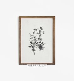 a black and white drawing of flowers in a wooden frame on a wall with the words north pines above it