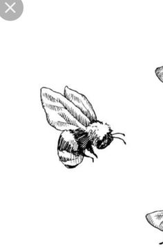 two bees flying next to each other on a white background