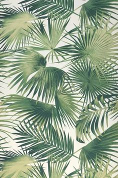 a wallpaper with green palm leaves on white and beige background, in shades of light green