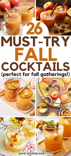 Choose from 26 aromatic and easy fall cocktails recipes to serve at your next Thanksgiving dinner. Infuse delicious flavors of autumn into your fall cocktails and celebrate the coziest season of the year. Easy Fall Cocktails, Fall Cocktail Recipes, Hot Toddies Recipe, Fall Cocktail, Cider Cocktails, Thanksgiving Drinks