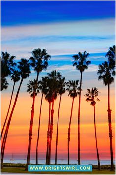 palm trees are silhouetted against an orange and blue sky at sunset on the beach