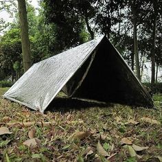 there is a small metal structure in the middle of some leaves and grass with trees in the background