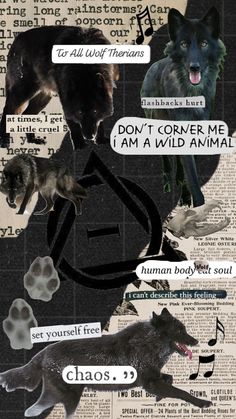 a collage of different types of animals with words above them that say, don't corner me i am a wild animal