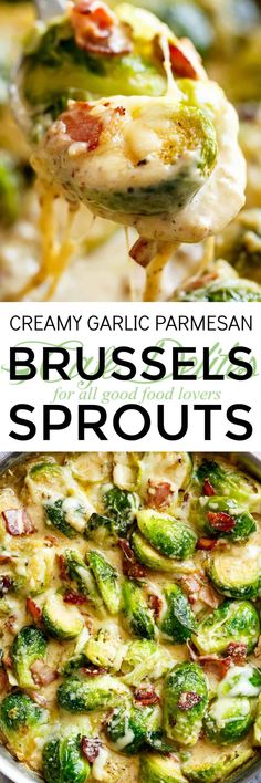 creamy garlic parmesan brussel sprouts are the perfect side dish