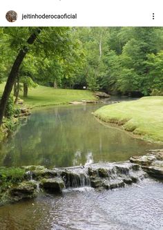 a small stream running through a lush green park