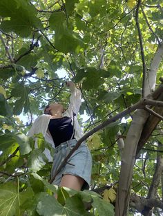 a woman climbing up a tree with her hands in the air and looking up at leaves