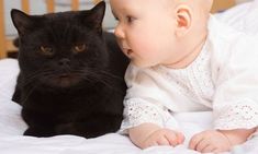 a baby and a black cat laying on a bed