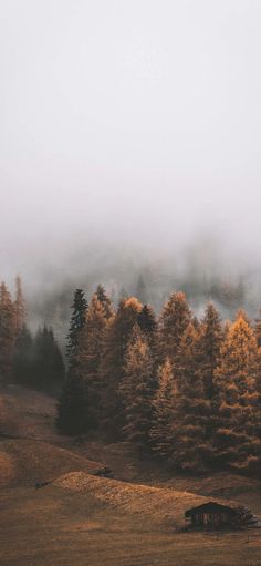 a car is parked in the middle of a field with trees and fog behind it